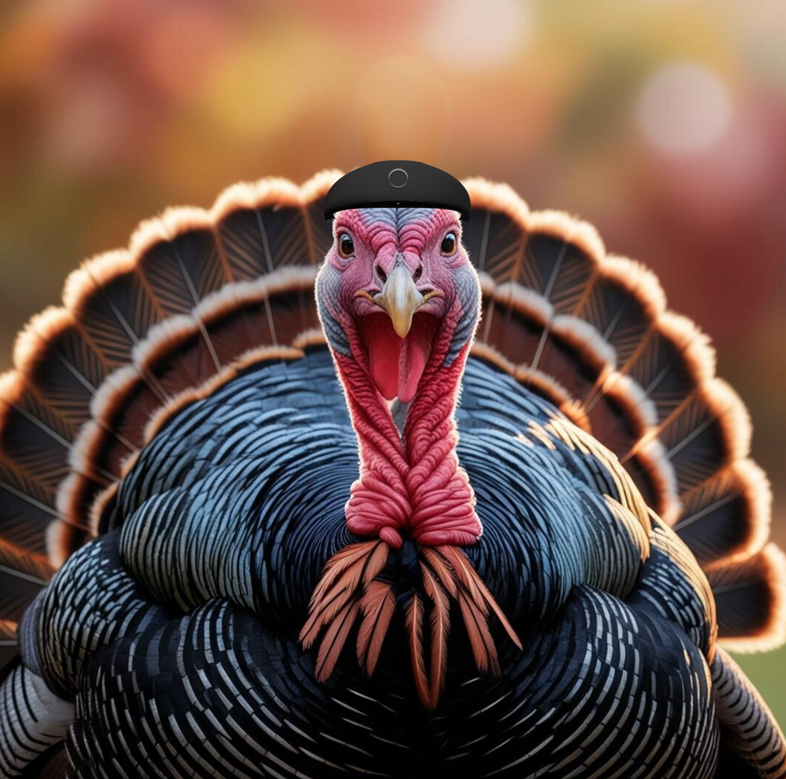 Does Turkey Actually Make You Sleepy?